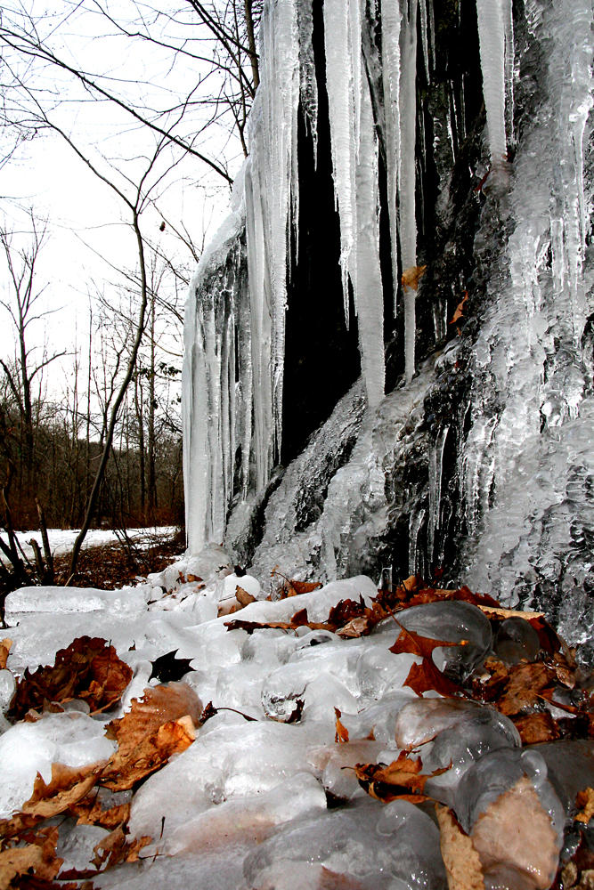 Trail Conditions Along the NCR Trail