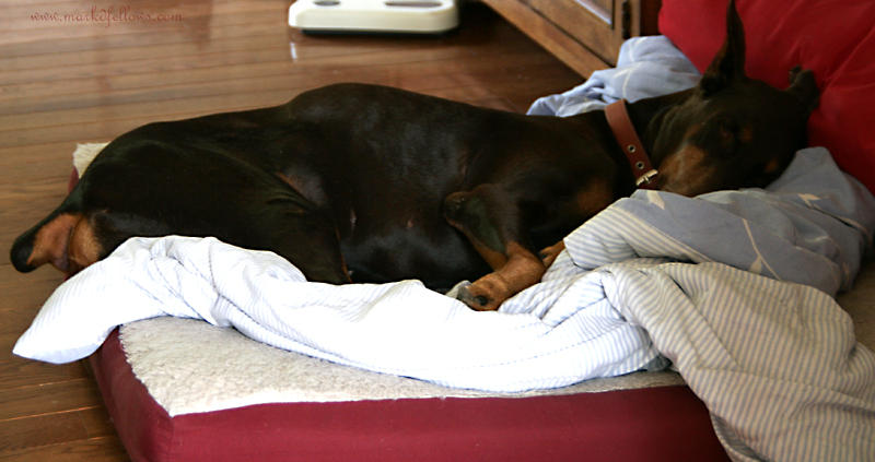 Snoozing