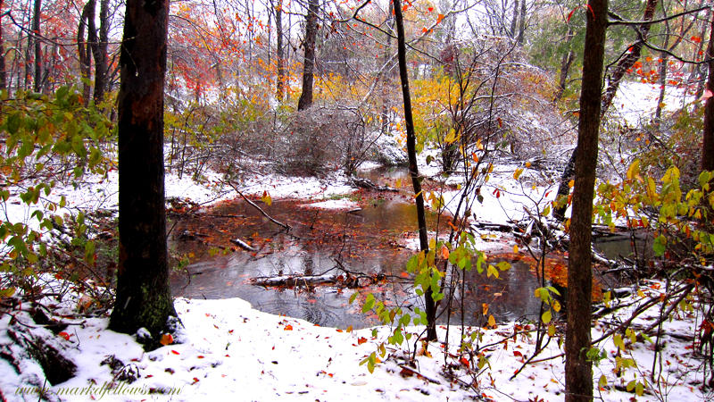 leaves snow and flooded stream.jpg