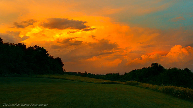 Sunset in the field July 25 2016-four-web.jpg