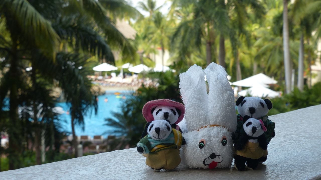The Pandafords with their bunny friend at Buganvilias Resort