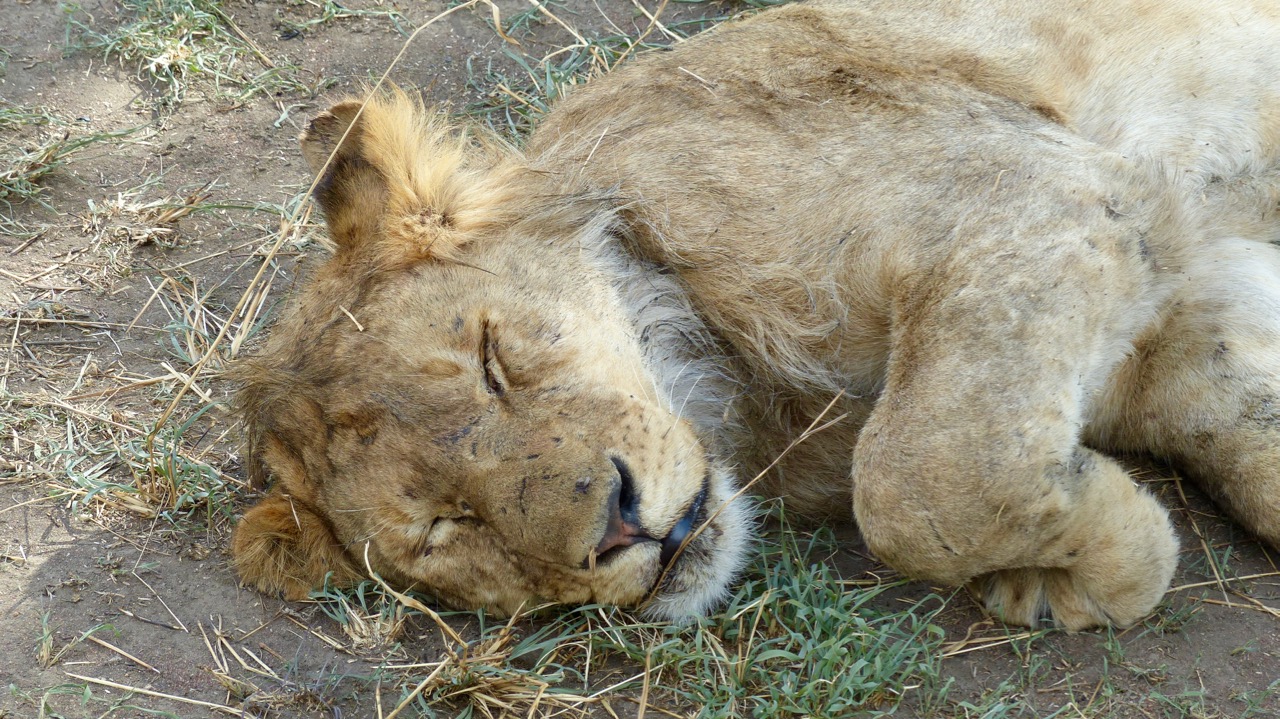 Serengeti National Park