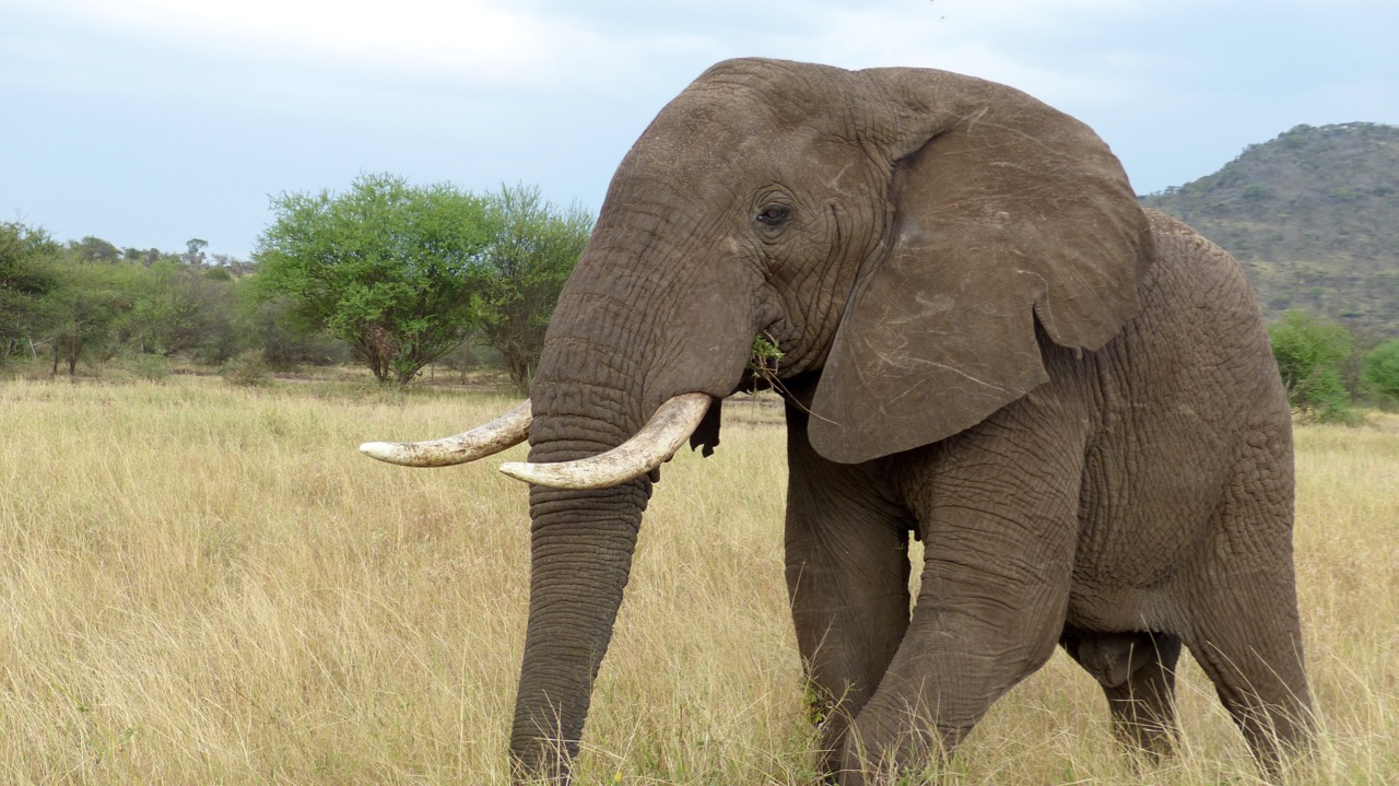 Serengeti National Park