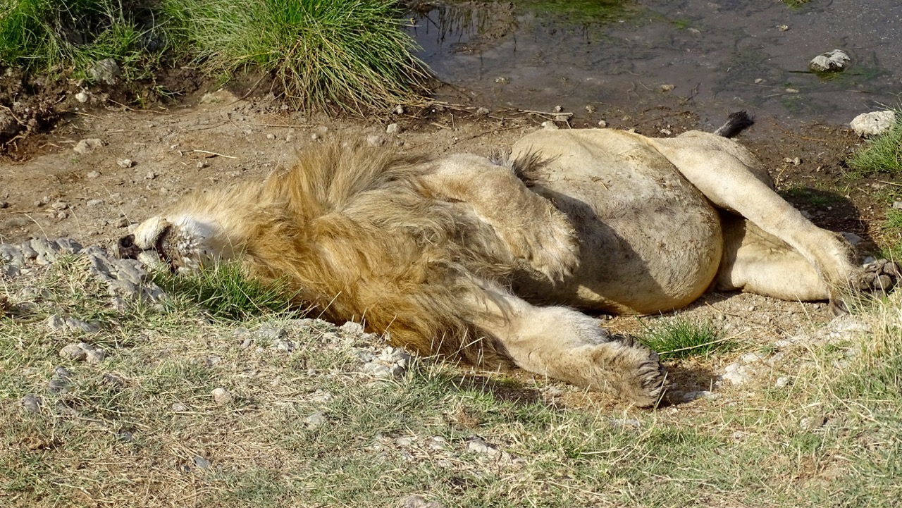 Serengeti National Park