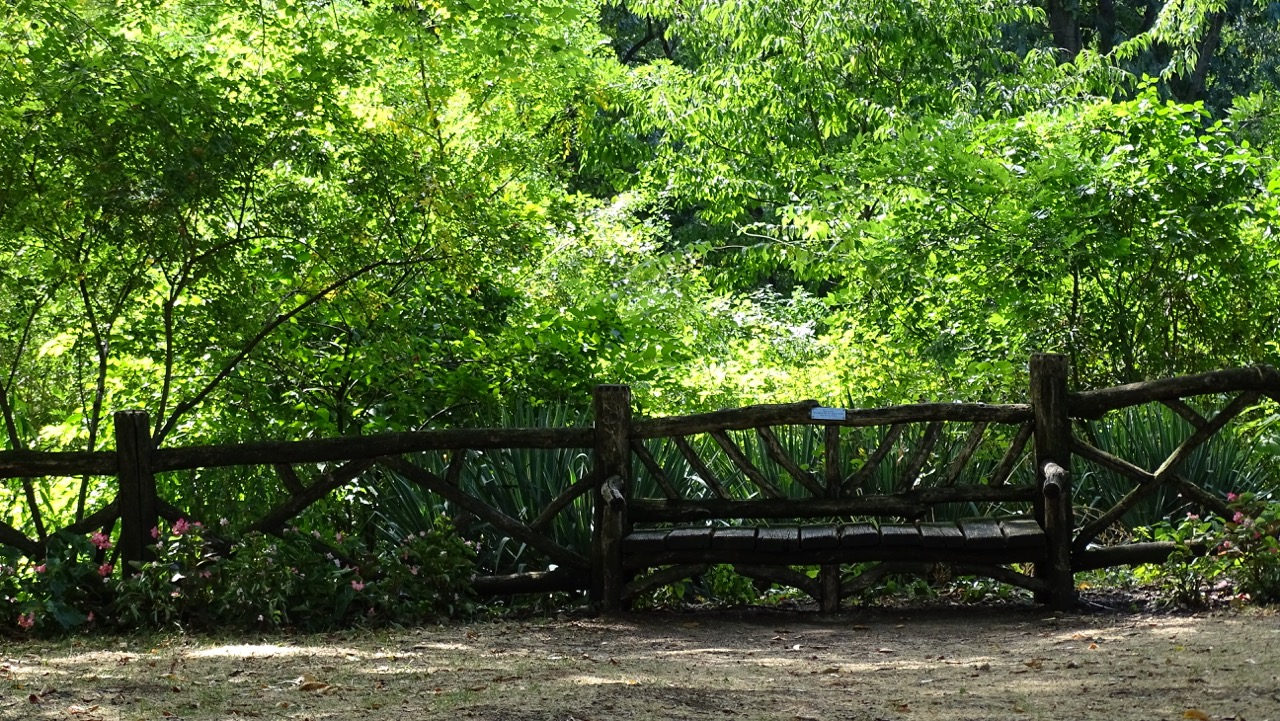 Central Park Shakespeare Garden Bench