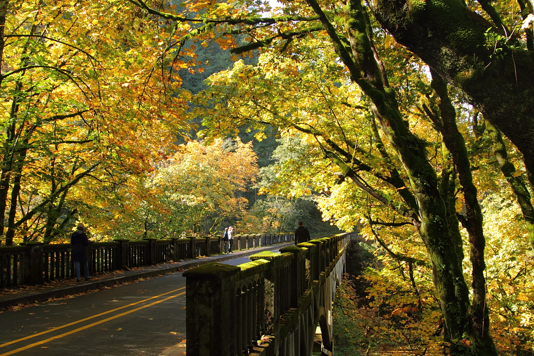 Columbia River Gorge