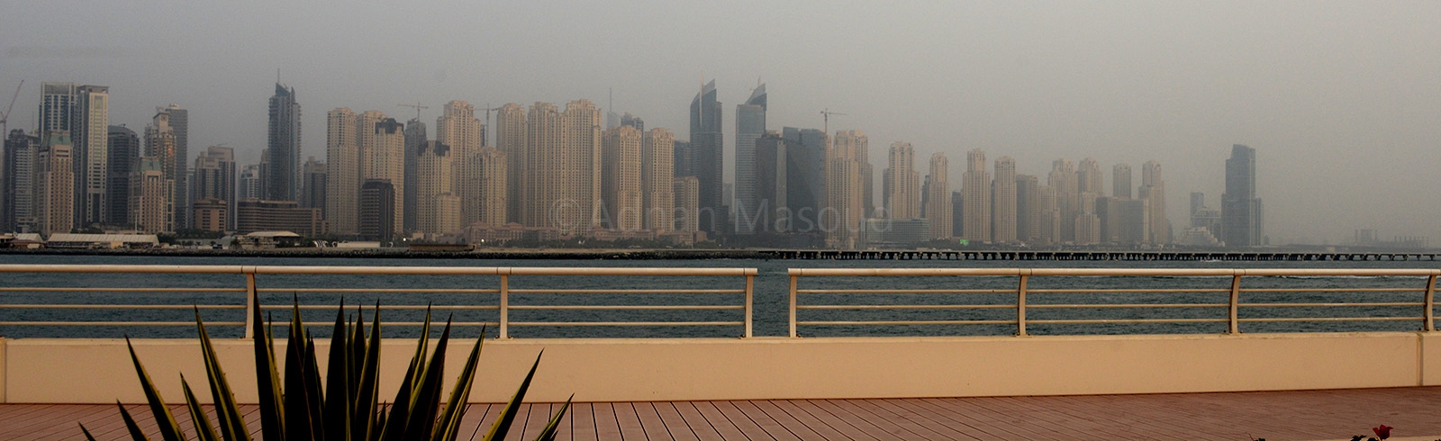 View from Palm Dubai.jpg