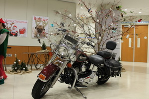 IMG_5378.JPG