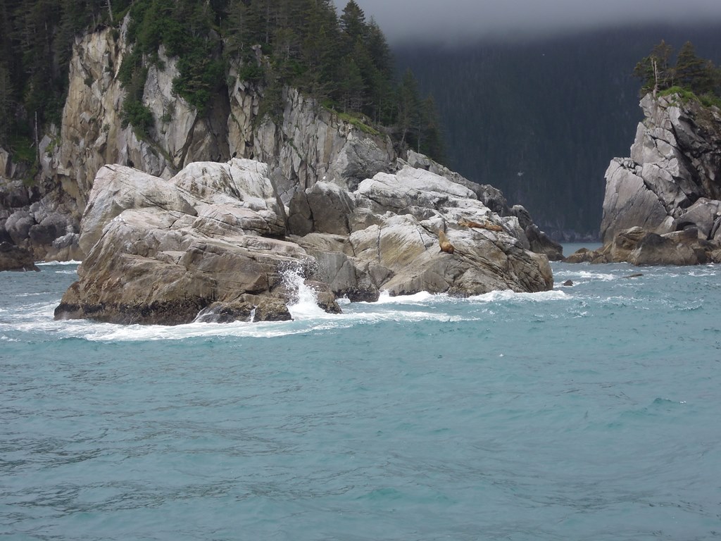July 13, 2014 - Kenai Fjords 043.JPG