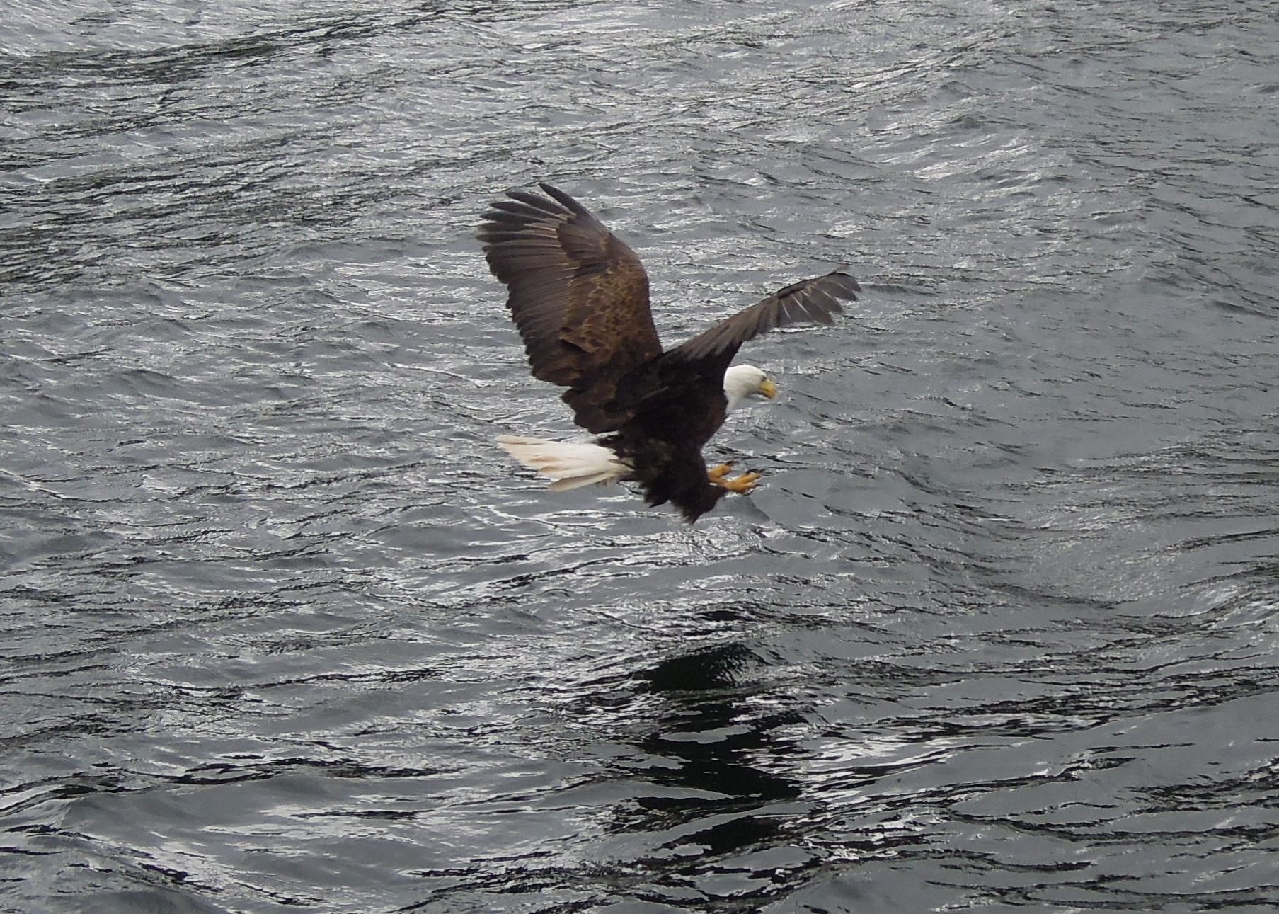 July 18, 2014 - Ketchikan 278.JPG