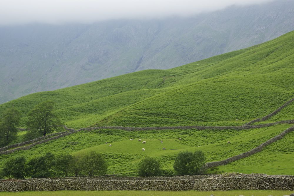 Scafell drumlins on the lower slopes