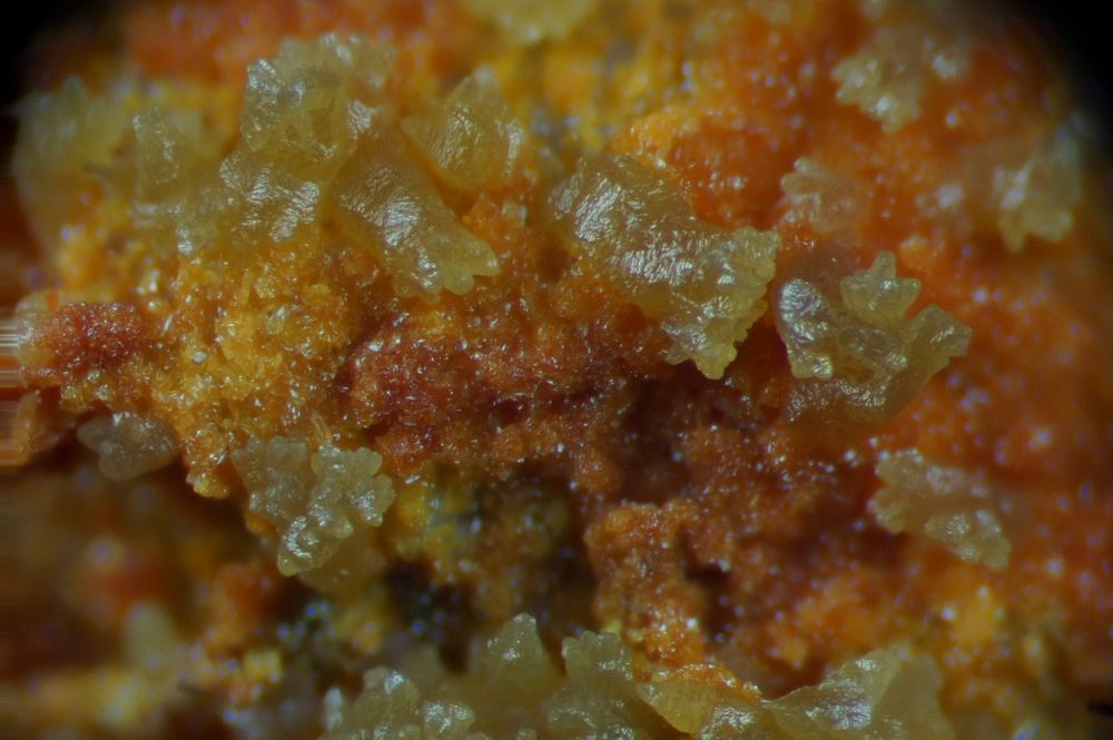 Vanadinite with descloizite, Whitwell Quarry, Whitwell, Derbyshire. Detail of 33 mm specimen. 