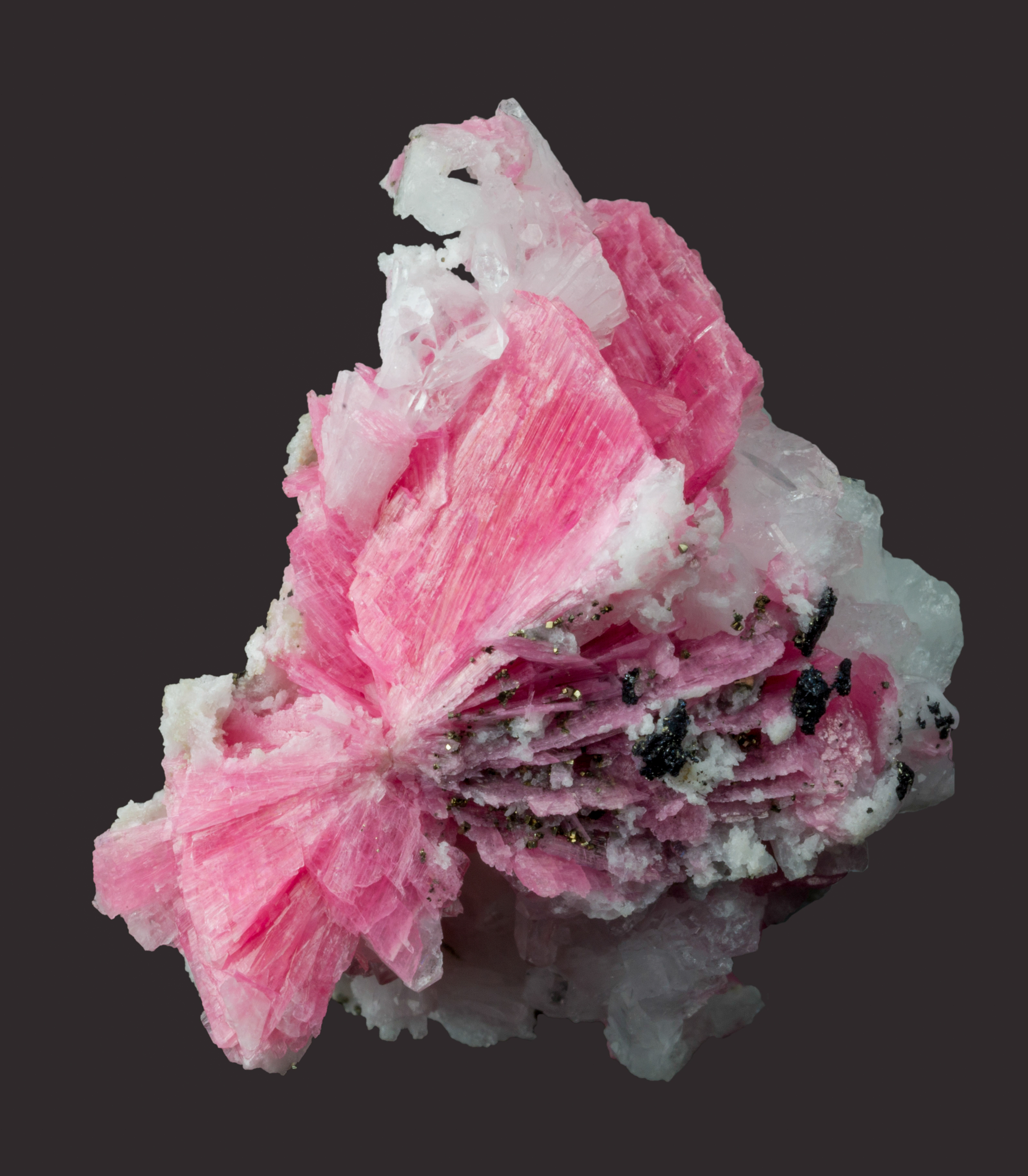 Rhodonite crystals with quartz and chalcopyrite. Largest crystal is 15 mm in a 4 cm group. San Martin Mine, Ancash, Peru.