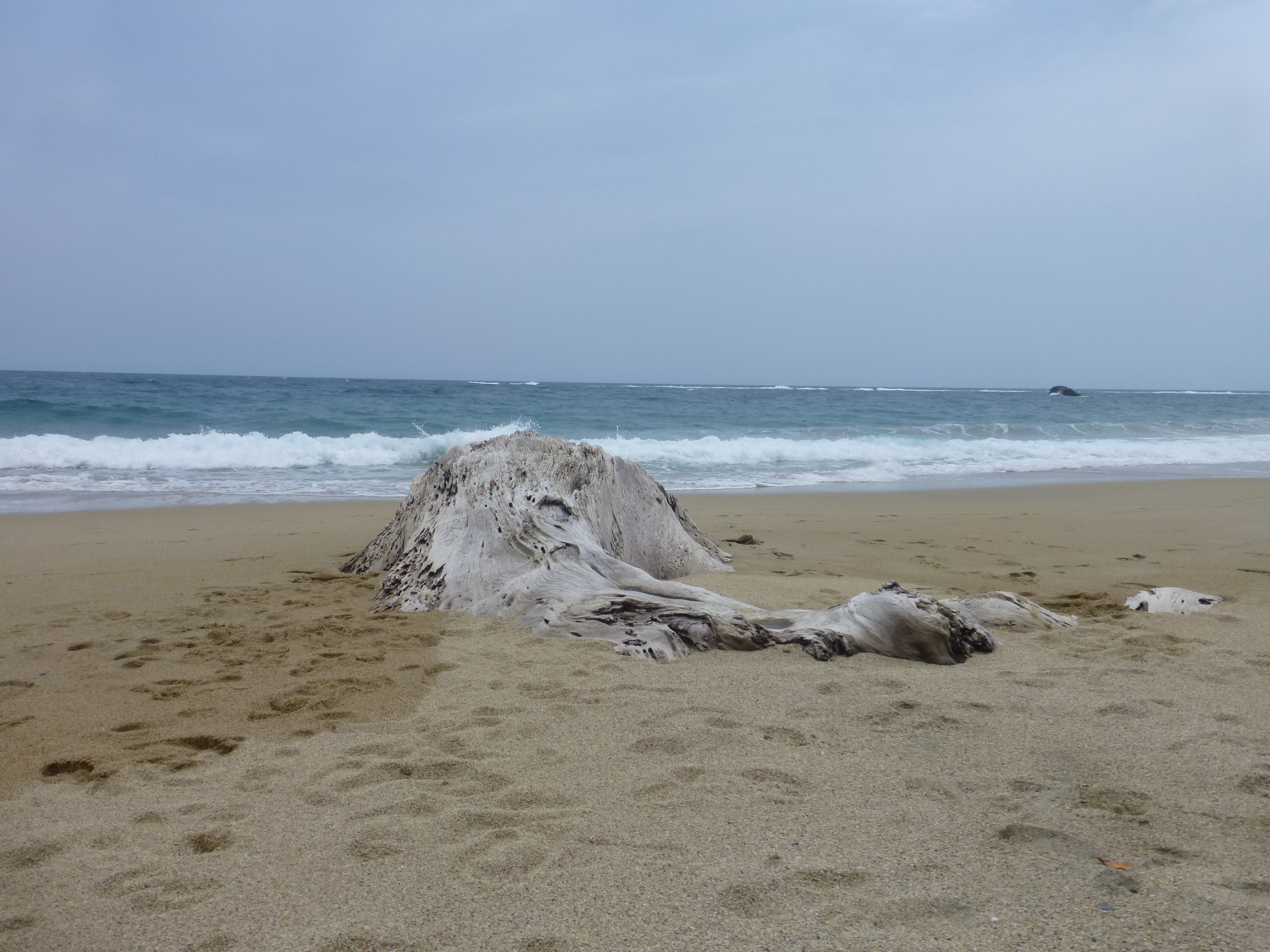 reminded me of the elephant graveyard in lion king