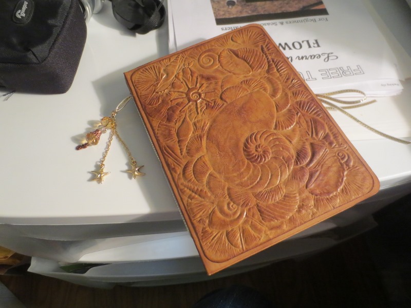 One of my nicer faux leather journals