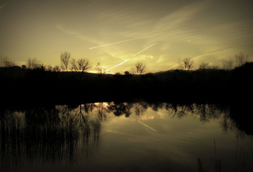 Sawhill Ponds