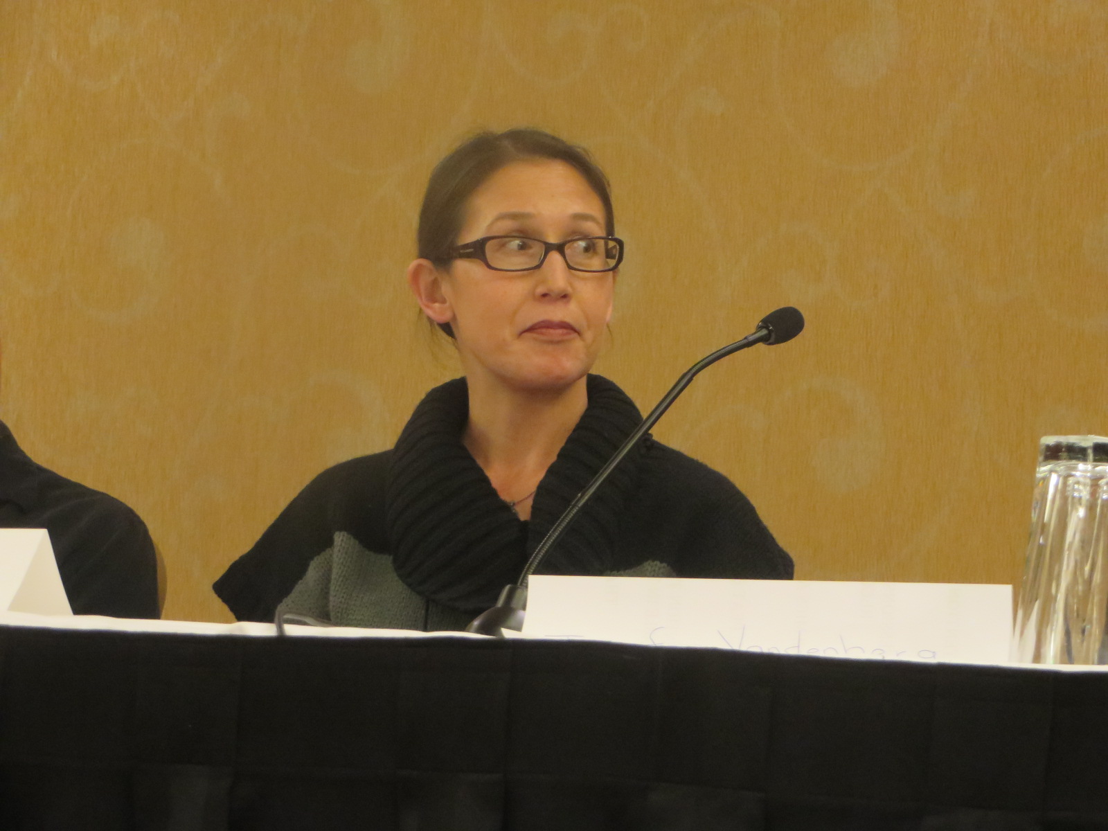 Panel Sarah Chen