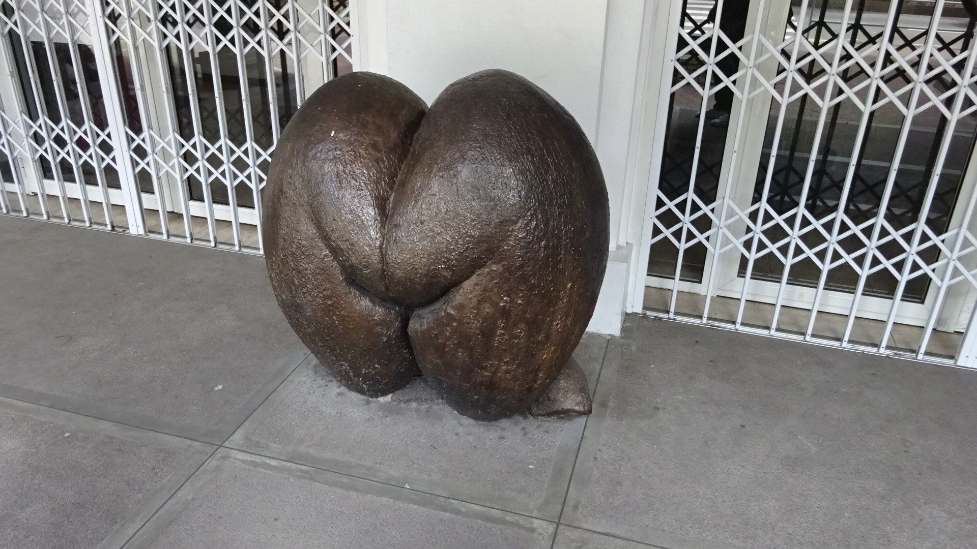 Coconut