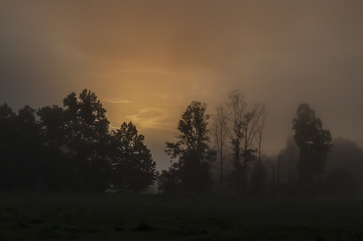 Gently Comes The Morning