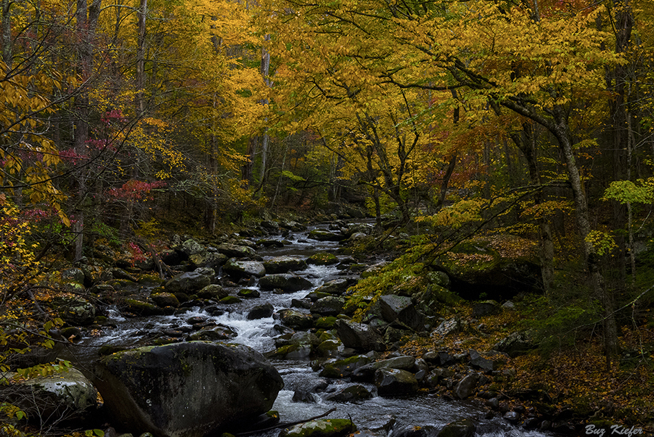 Midle Prong - Autumn II 