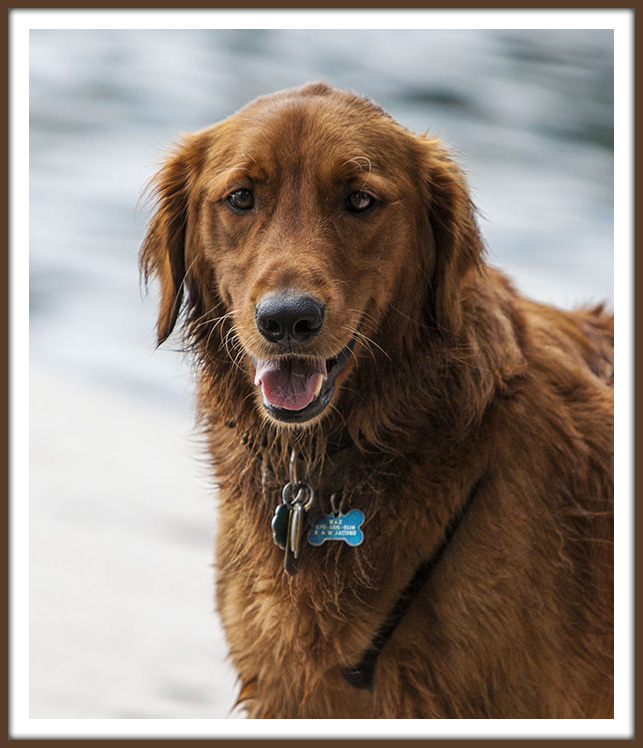 Max