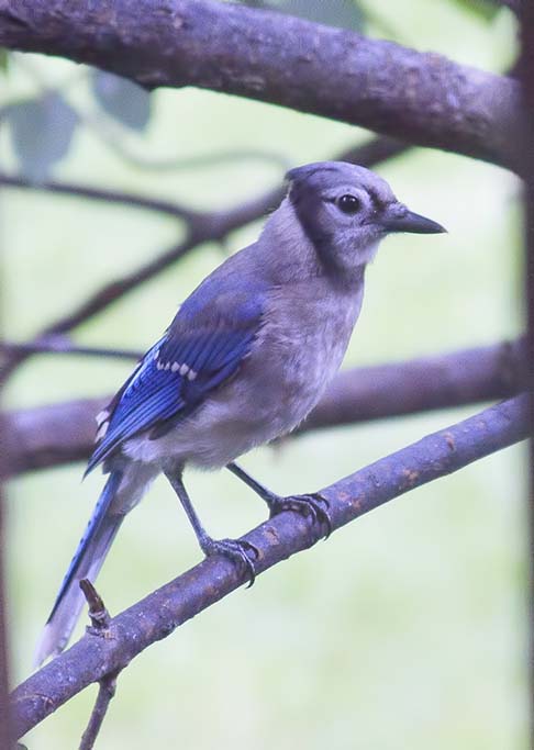 _MG_5588.jpg