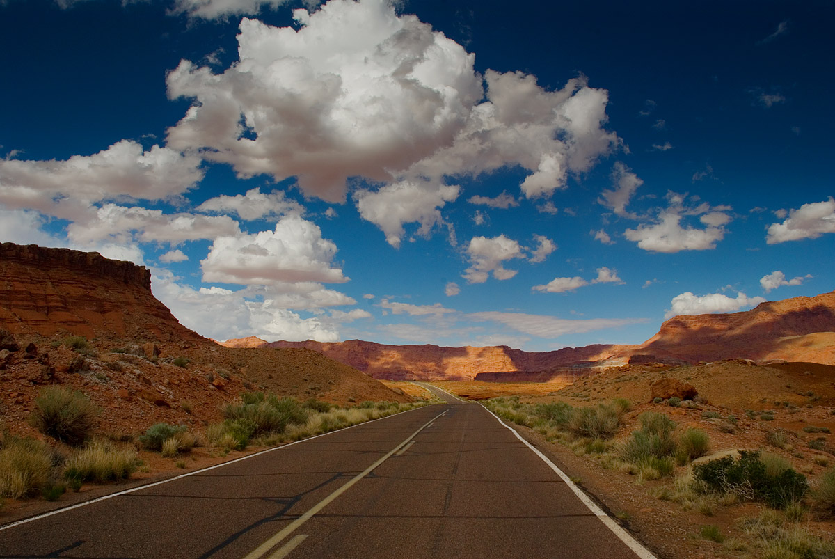 The Road to Lees Ferry