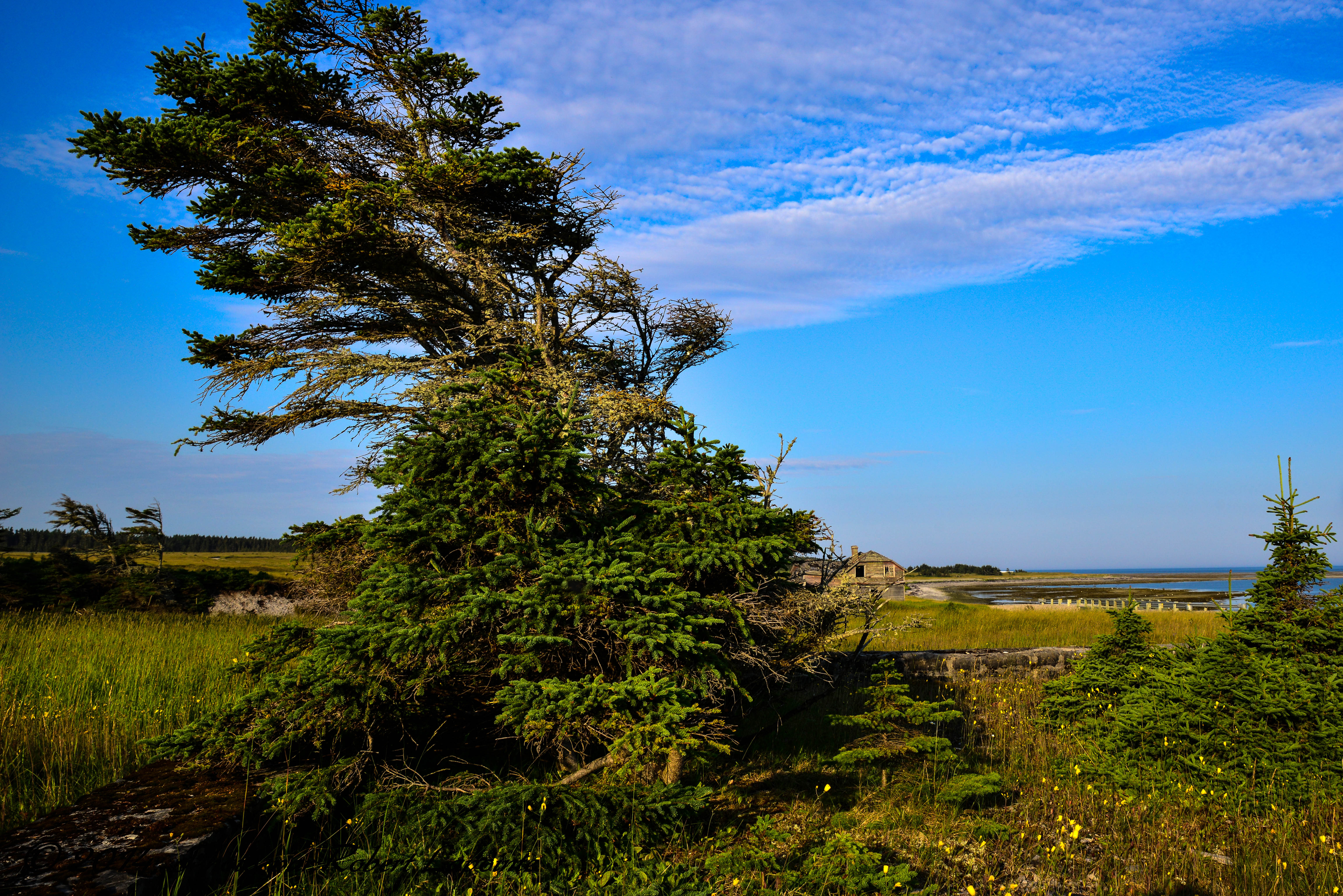 Paysage, Pointe Ste-Claire