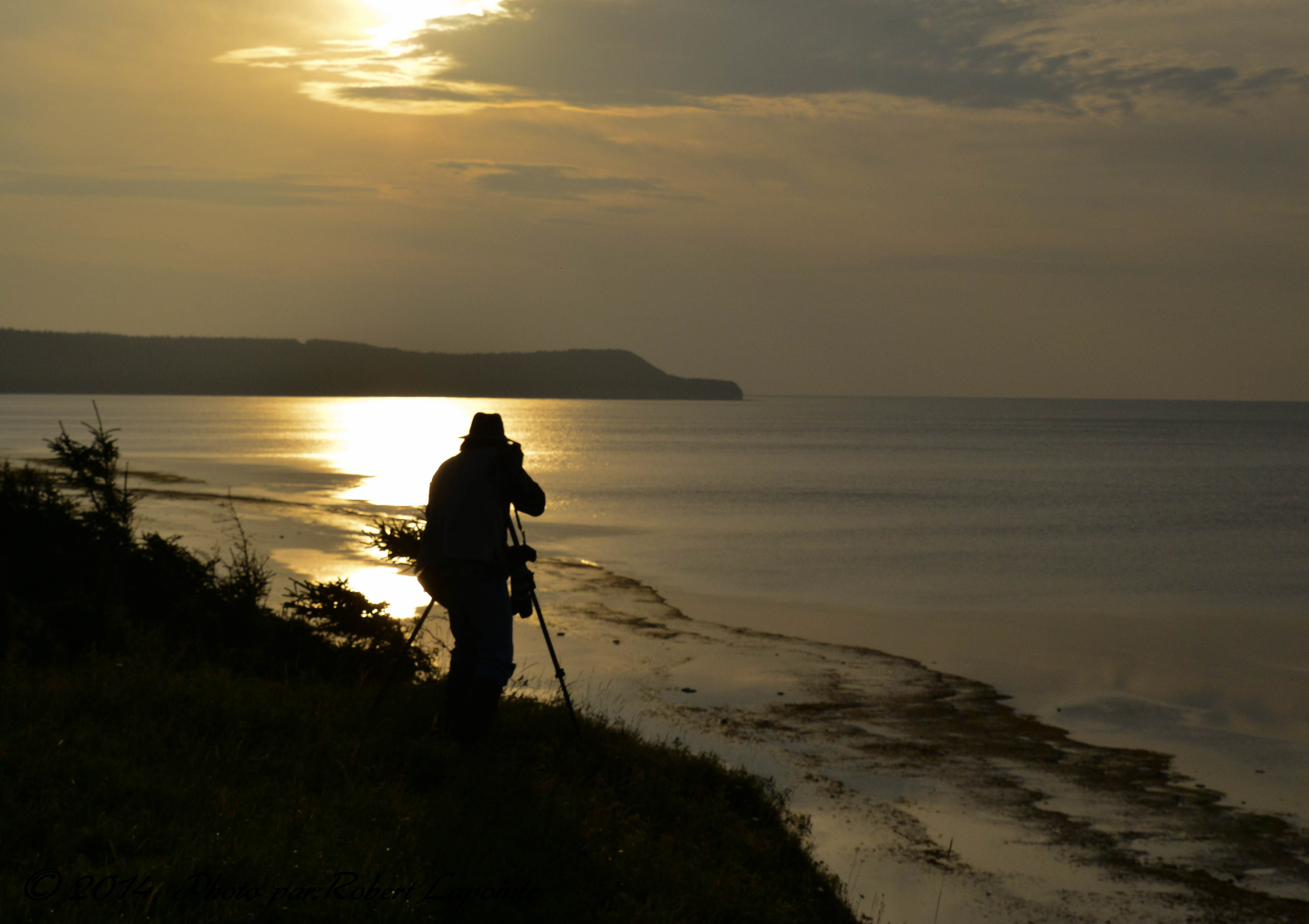 Ren, le guide passionn