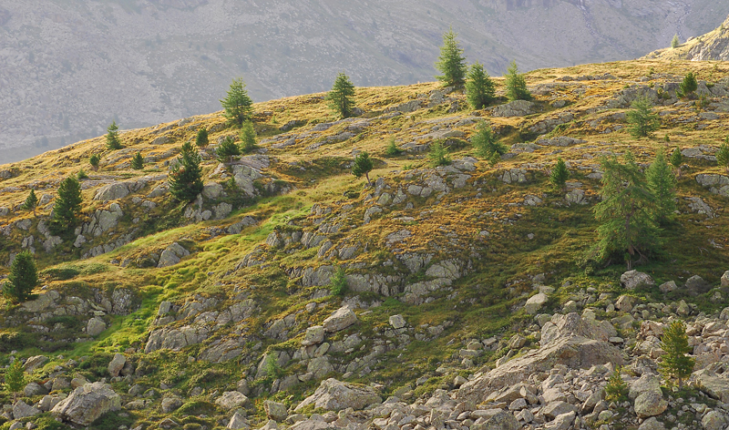 Val Viola Bormina