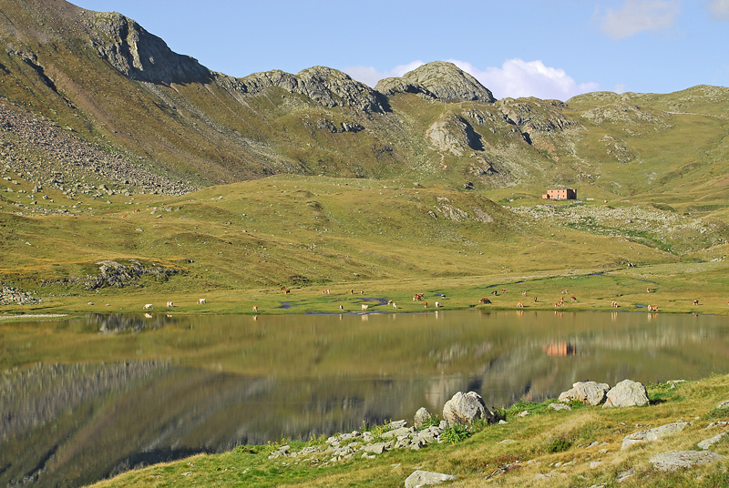 Val Viola Bormina