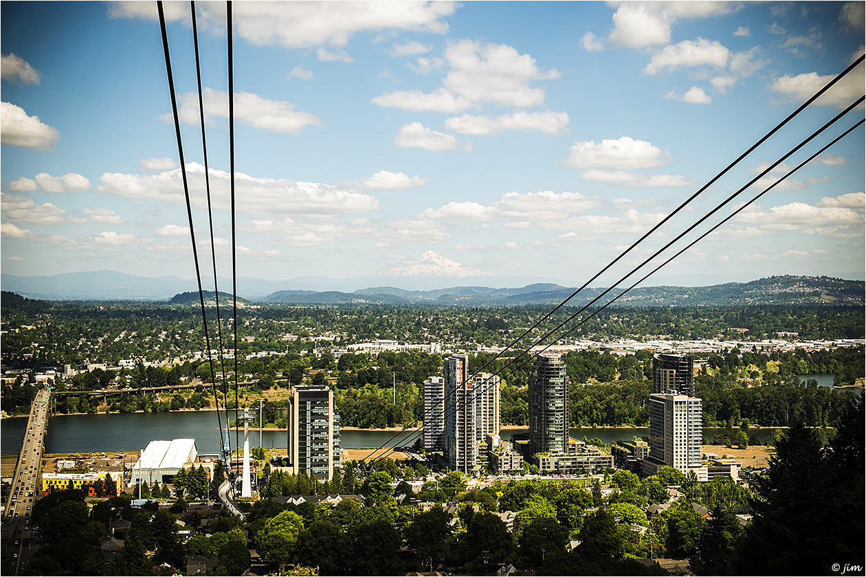 City Sky Lines...