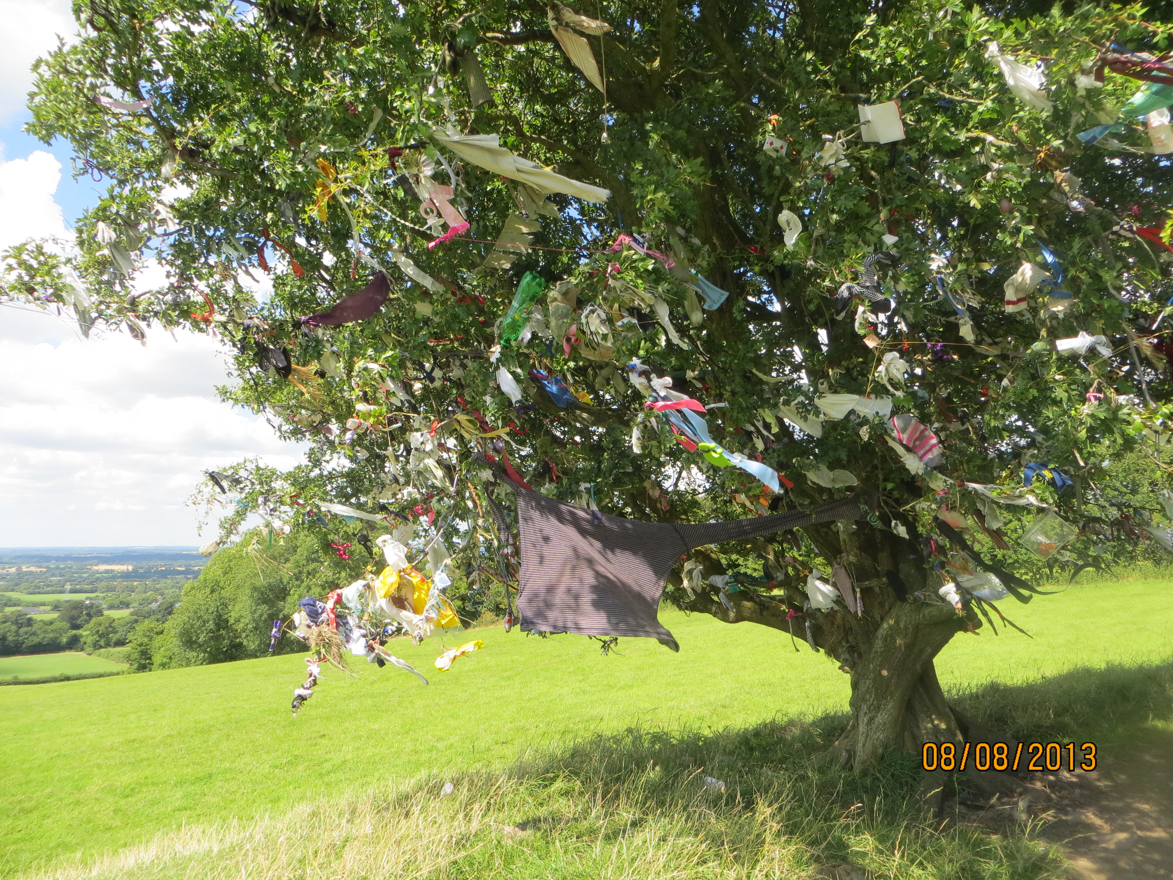 The Faerie Tree