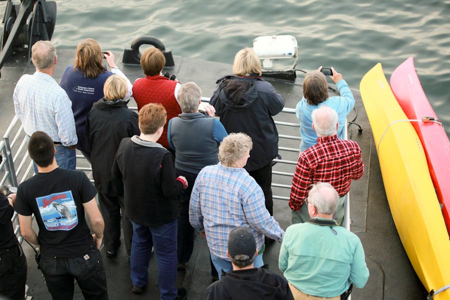 Ginny heading up the whale watchers