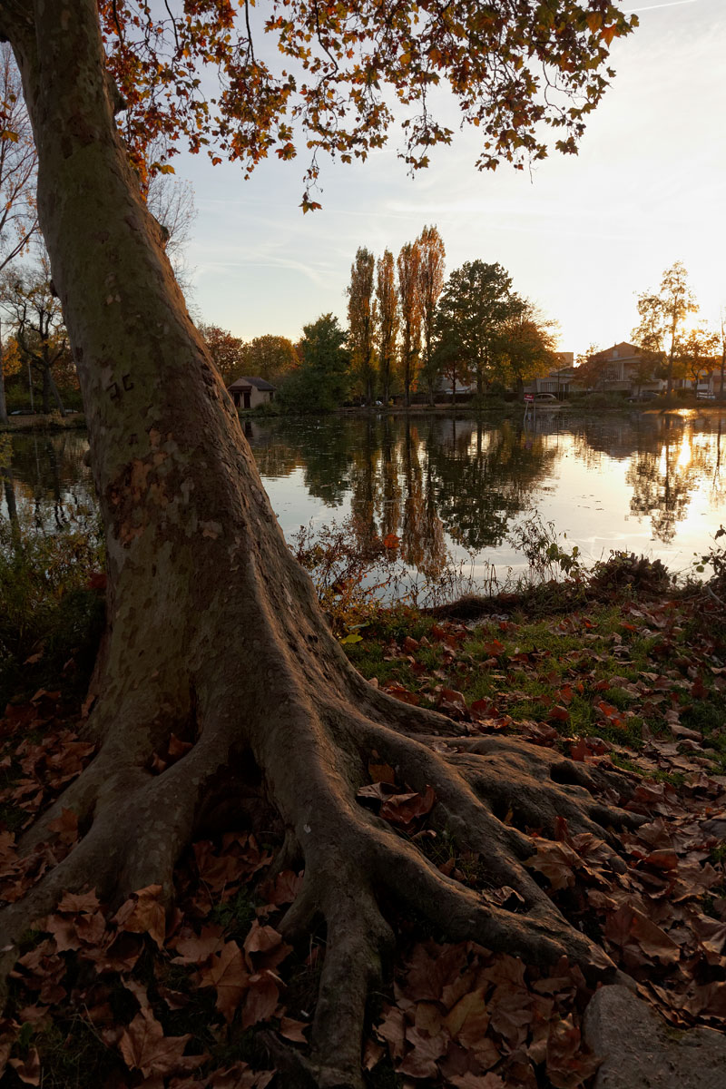 Lac de Maison Blanche