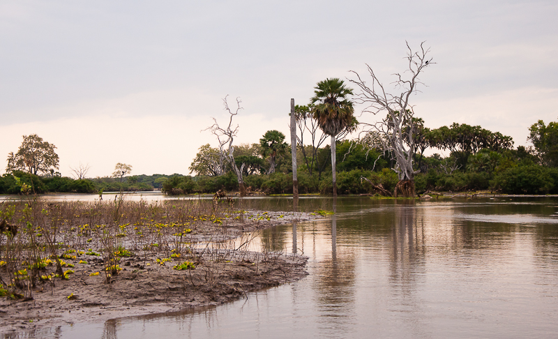 Uitzicht vanaf Rufiji river tijdens boottocht