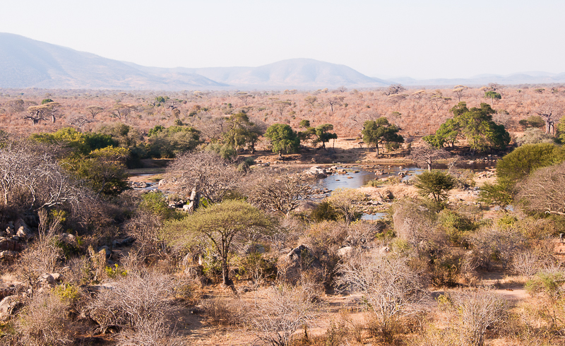 Ruaha River