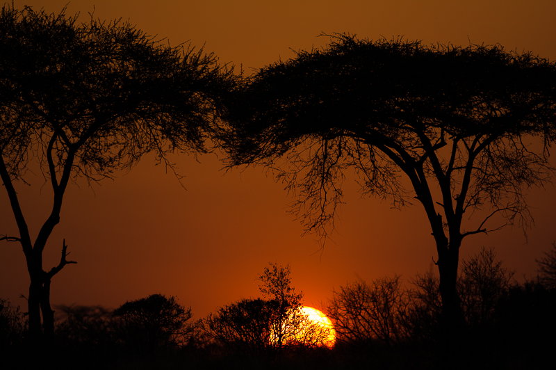 Zonsondergang in Ruaha NP