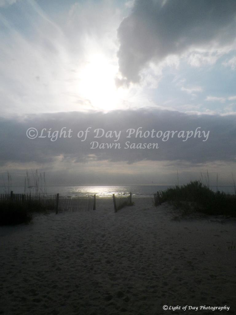 2) Light of Day Photography Dawn Saasen (372).JPG