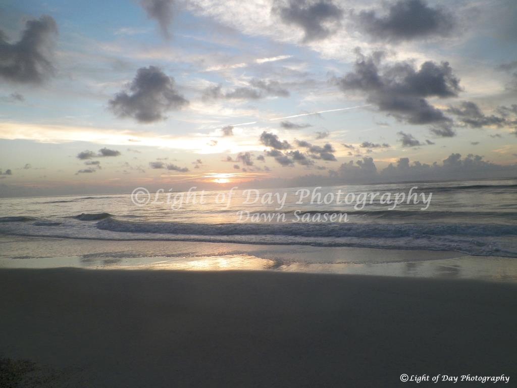 2) Light of Day Photography Dawn Saasen (394).JPG