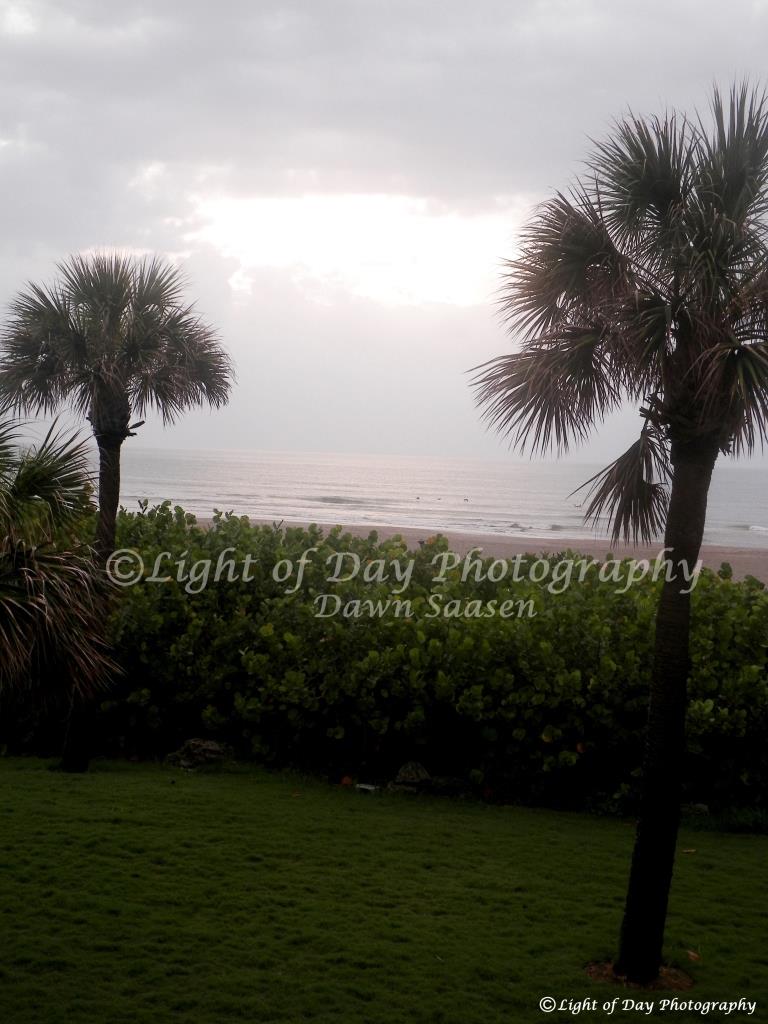 2) Light of Day Photography Dawn Saasen (353).JPG