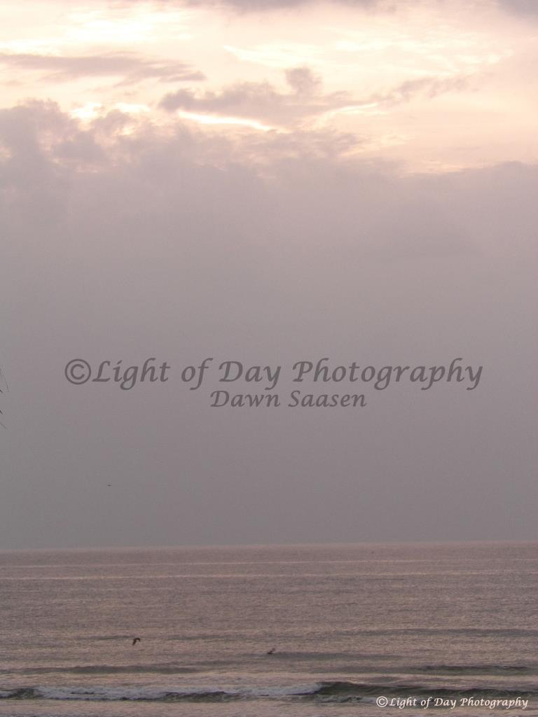 2) Light of Day Photography Dawn Saasen (369).JPG