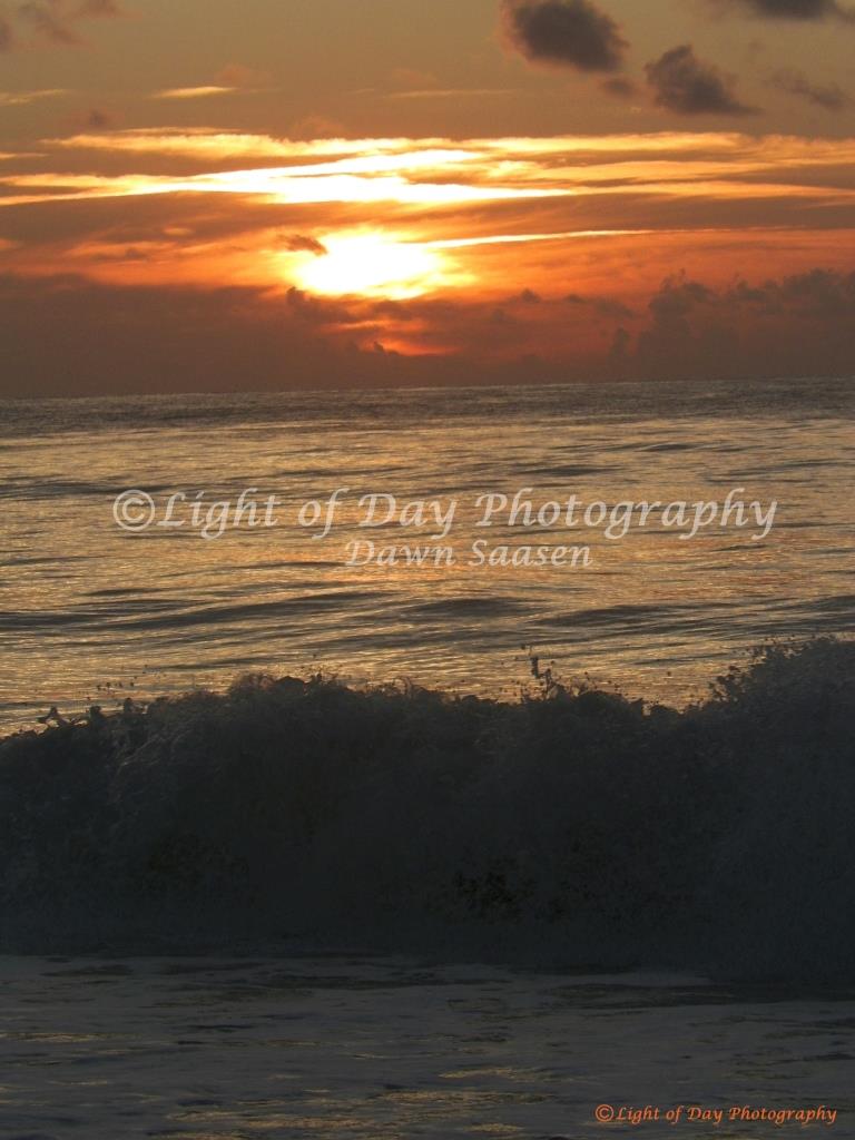 2) Light of Day Photography Dawn Saasen (398).JPG