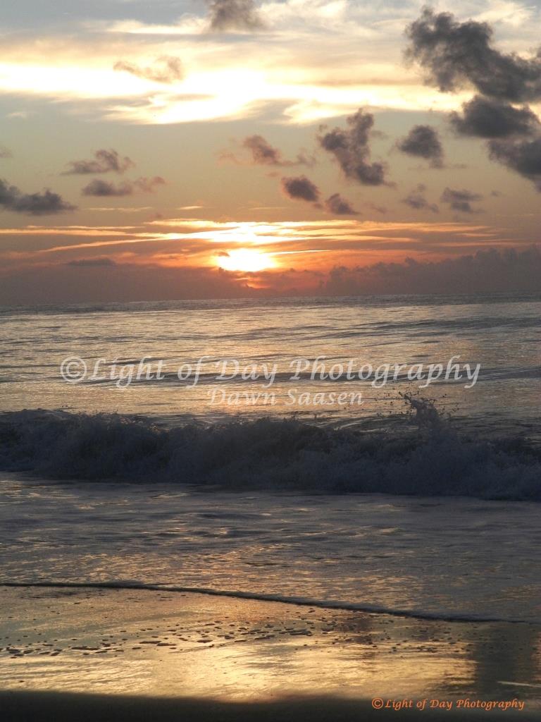 2) Light of Day Photography Dawn Saasen (399).JPG
