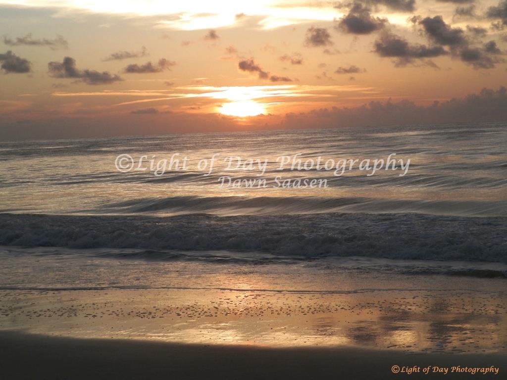 2) Light of Day Photography Dawn Saasen (404).JPG