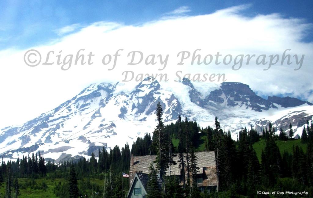 1) Light of Day Photography Dawn Saasen (56).jpg