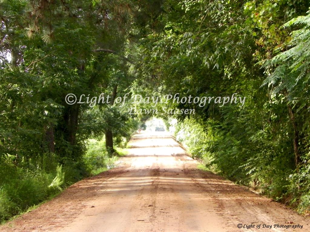 2) Light of Day Photography Dawn Saasen (338).JPG