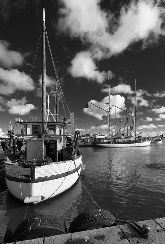 Masts in Harbor