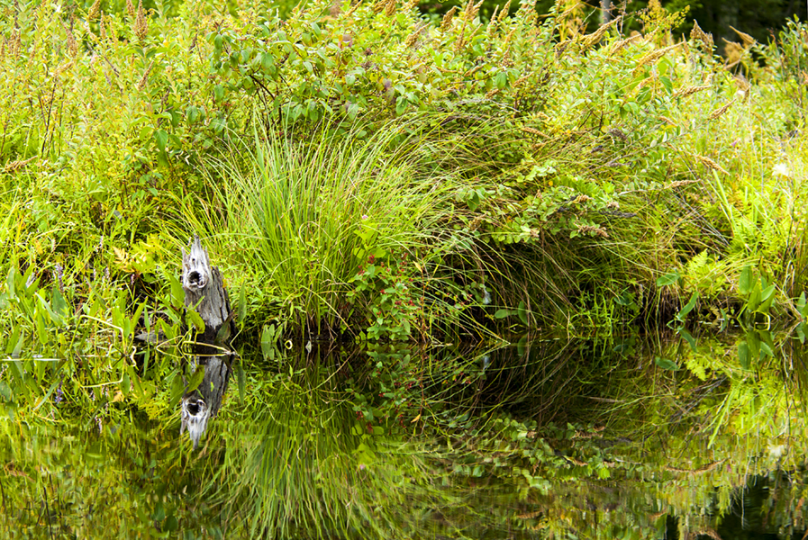very still life 071