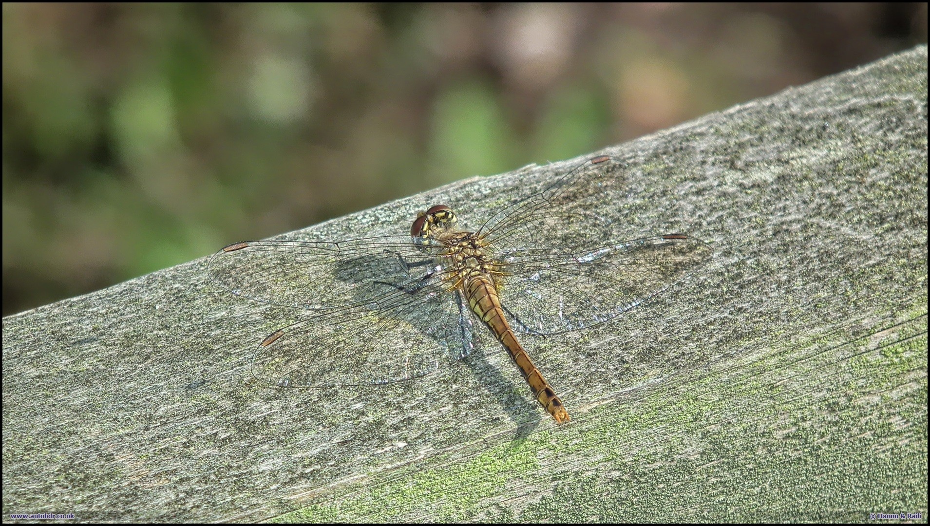 20130813 Slnda A_HDR.JPG